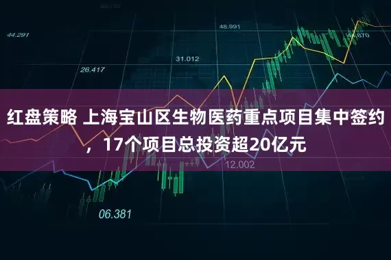 红盘策略 上海宝山区生物医药重点项目集中签约，17个项目总投资超20亿元