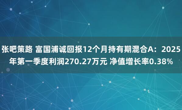 张吧策路 富国浦诚回报12个月持有期混合A：2025年第一季度利润270.27万元 净值增长率0.38%