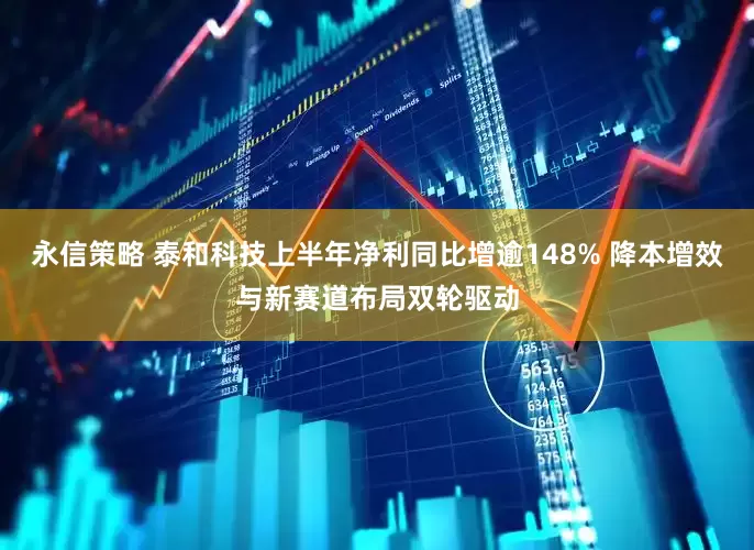 永信策略 泰和科技上半年净利同比增逾148% 降本增效与新赛道布局双轮驱动